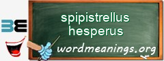 WordMeaning blackboard for spipistrellus hesperus